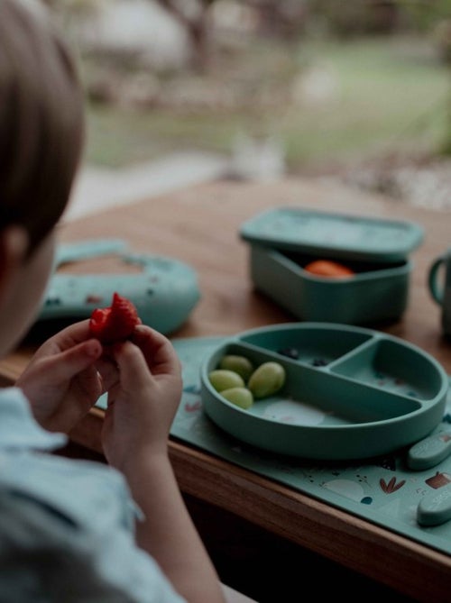 Cuenco de silicona con ventosa - animales - Sassi Junior - Kiabi