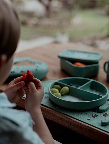 Cuenco de silicona con ventosa - animales | Sassi Junior