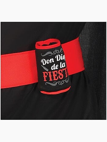 Disfraz de Don Diego de la Fiesta