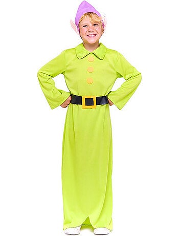 Disfraz de Enanito Blancanieves