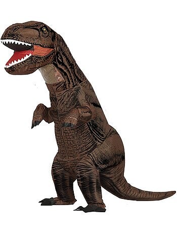 Disfraz de Gran Dinosaurio Hinchable