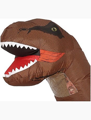 Disfraz de Gran Dinosaurio Hinchable