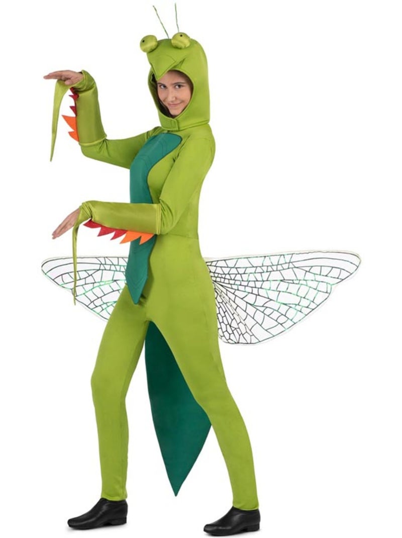 Disfraz de Mantis con capucha y alas Multicolor - Kiabi