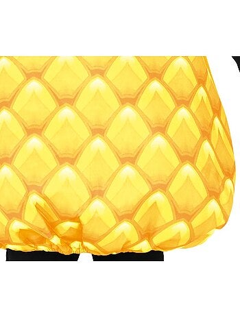 Disfraz de Piña