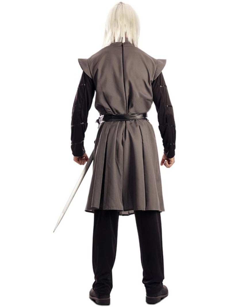 Disfraz de príncipe dragón para hombre Multicolor - Kiabi