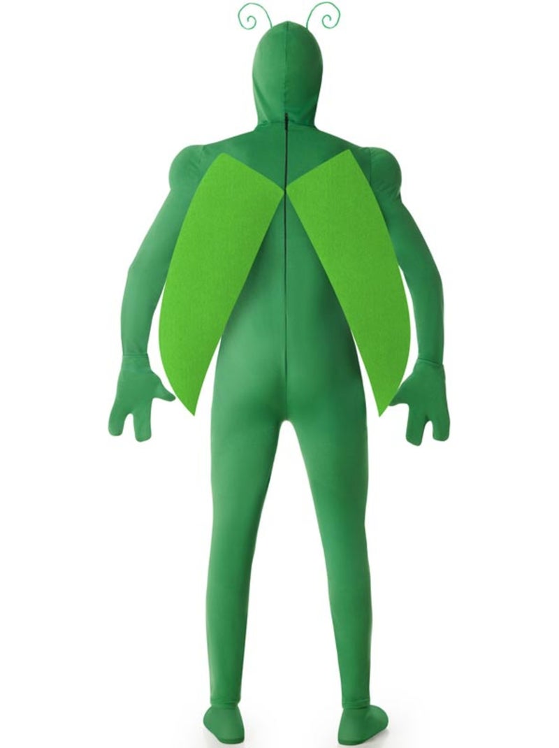 Disfraz de saltamontes para hombre Multicolor - Kiabi