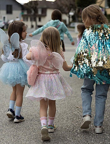 Disfraz infantil hada, falda, alas y varita | Great Pretenders