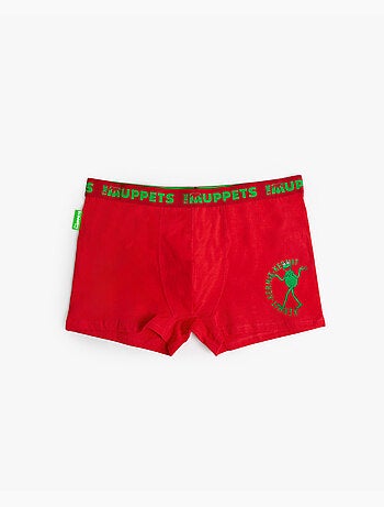 DISNEY Calzoncillo/Boxer Kermit Caja Regalo para Hombre