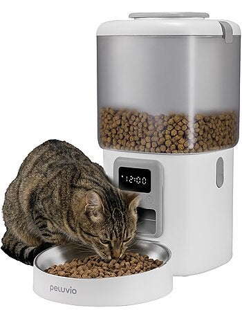 Dispensador automático de comida para gatos – Peluvio Crispy