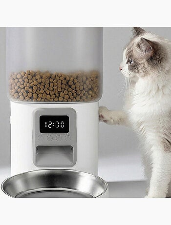 Dispensador automático de comida para gatos – Peluvio Crispy