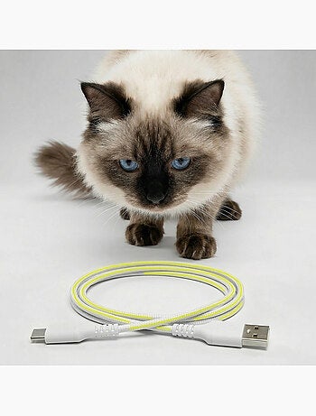 Dispensador automático de comida para gatos – Peluvio Crispy