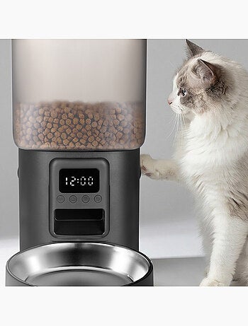 Dispensador automático de comida para gatos – Peluvio Crispy