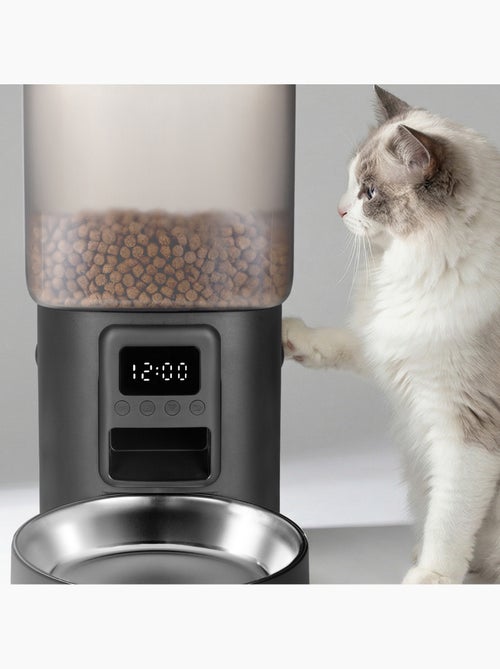 Dispensador automático de comida para gatos – Peluvio Crispy - Kiabi Dispensador automático de comida para gatos – Peluvio Crispy - Kiabi
