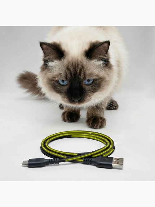 Dispensador automático de comida para gatos – Peluvio Crispy - Kiabi Dispensador automático de comida para gatos – Peluvio Crispy - Kiabi
