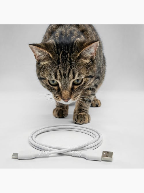 Dispensador automático de comida para gatos PELUVIO Crispy Wi‑Fi - Kiabi Dispensador automático de comida para gatos PELUVIO Crispy Wi‑Fi - Kiabi