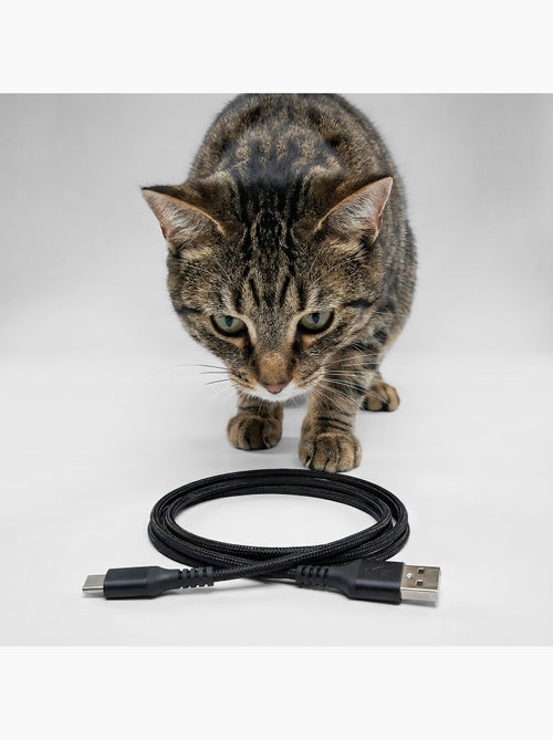Dispensador automático de comida para gatos PELUVIO Crispy Wi‑Fi - Kiabi Dispensador automático de comida para gatos PELUVIO Crispy Wi‑Fi - Kiabi