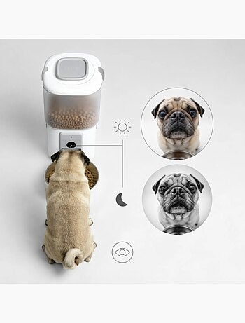 Dispensador automático de croquetas 2 en 1 PELUVIO Feast - Fuente de agua - Cámara - Wi-Fi - 10/día