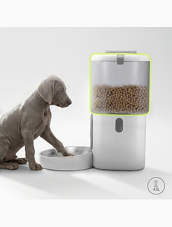 Dispensador automático de croquetas para perros PELUVIO Crispy - 4,5 L - 4 comidas/día
