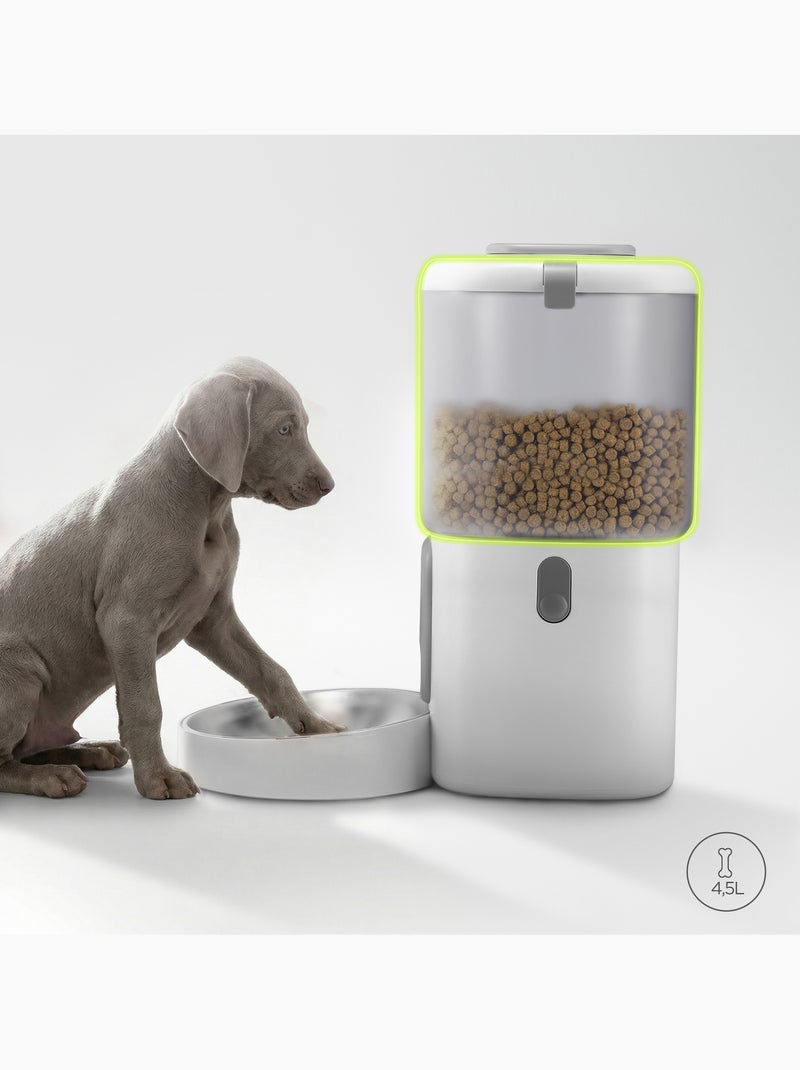 Dispensador automático de croquetas para perros PELUVIO Crispy - 4,5 L - 4 comidas/día Blanco - Kiabi