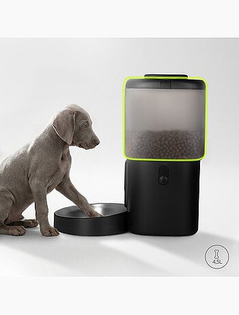 Dispensador automático de croquetas para perros PELUVIO Crispy - 4,5 L - 4 comidas/día