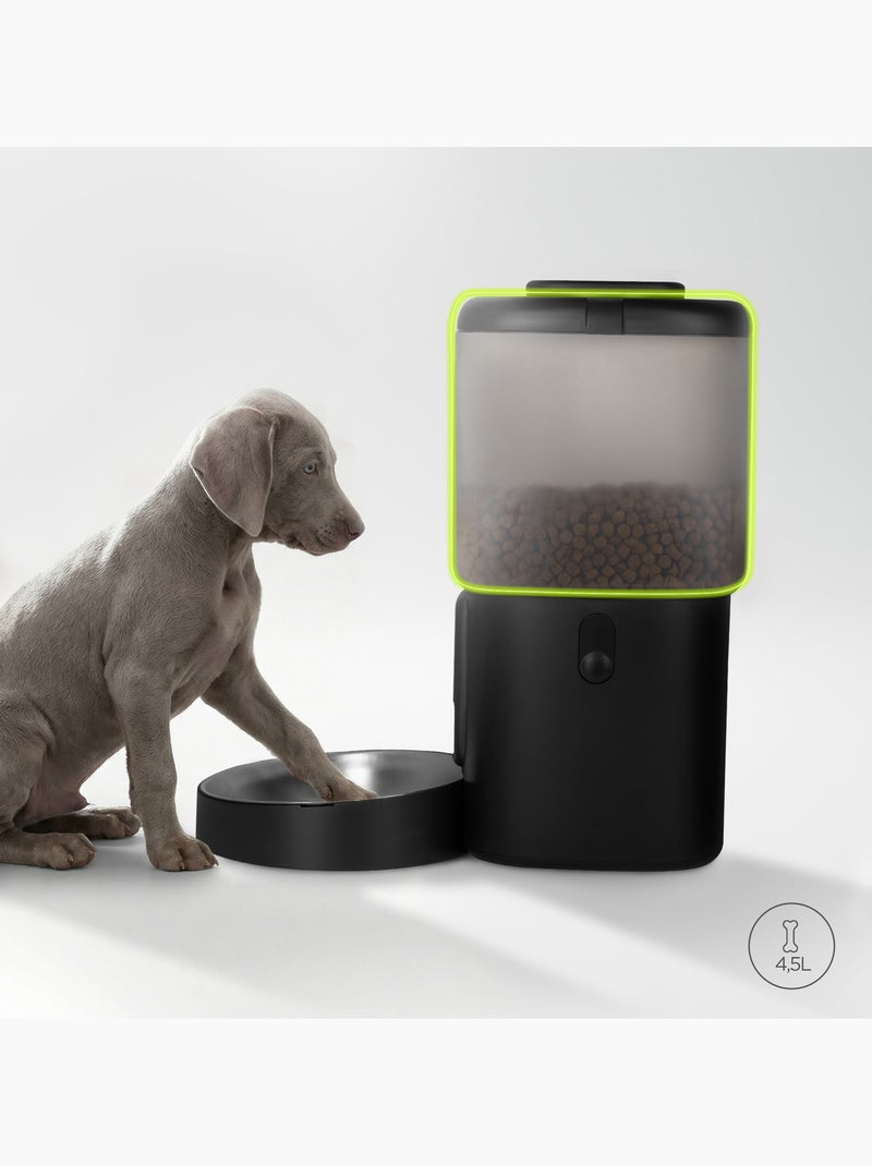 Dispensador automático de croquetas para perros PELUVIO Crispy - 4,5 L - 4 comidas/día Negro - Kiabi