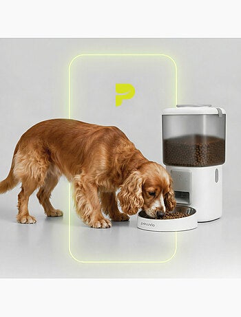 Dispensador automático de croquetas para perros PELUVIO Crispy - Wi-Fi - 4,5 L - 4 comidas/día