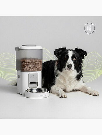 Dispensador automático de croquetas para perros PELUVIO Crispy - Wi-Fi - 4,5 L - 4 comidas/día