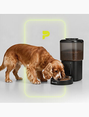 Dispensador automático de croquetas para perros PELUVIO Crispy - Wi-Fi - 4,5 L - 4 comidas/día