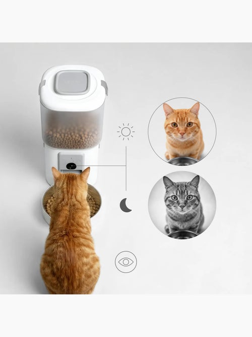 Dispensador de comida y fuente para gatos PELUVIO Feast - Kiabi Dispensador de comida y fuente para gatos PELUVIO Feast - Kiabi