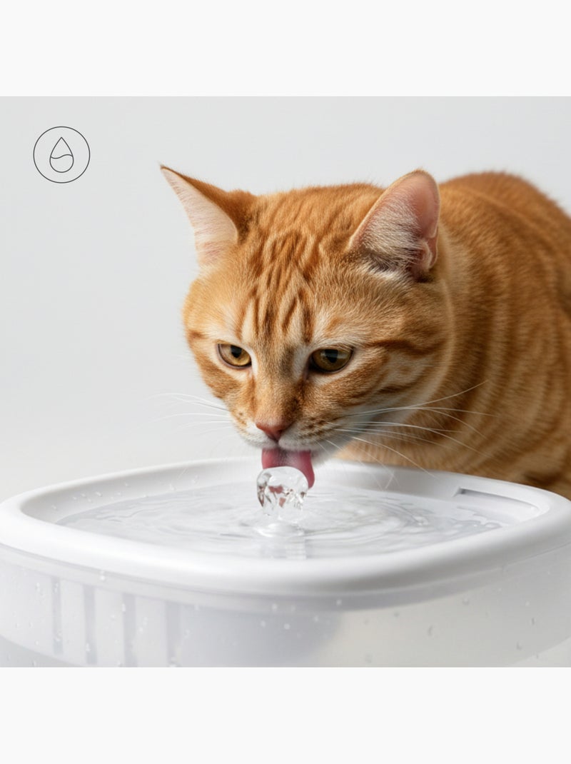 Dispensador de comida y fuente para gatos PELUVIO Feast Blanco - Kiabi