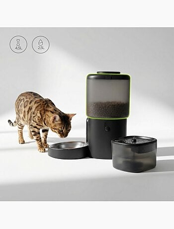 Dispensador de comida y fuente para gatos PELUVIO Feast