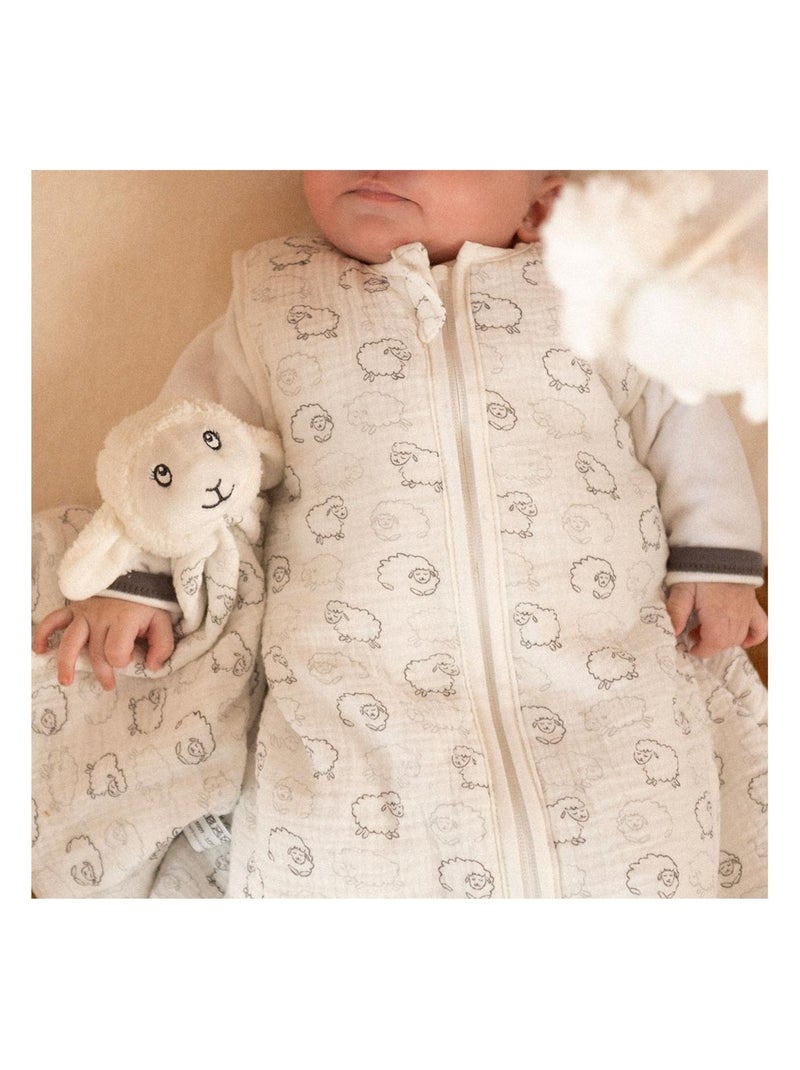 Doudou de nacimiento Crudo - Kiabi
