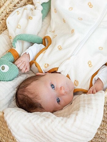 Doudou de tela con dinosaurio
