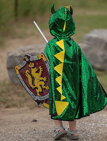 Escudo de caballero honour de espuma - Great Pretenders