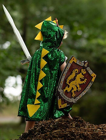 Escudo de caballero honour de espuma - Great Pretenders