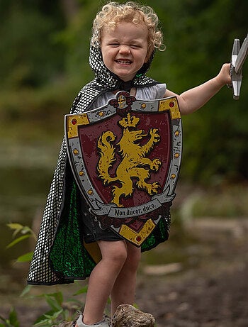 Escudo de caballero honour de espuma | Great Pretenders