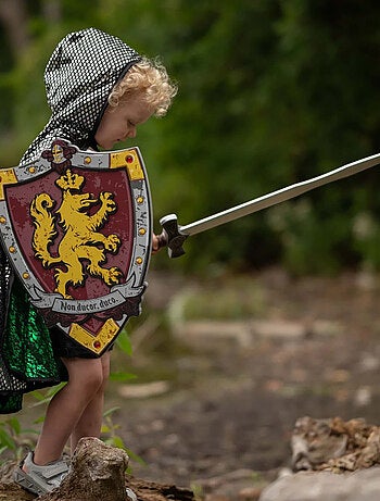 Escudo de caballero honour de espuma | Great Pretenders