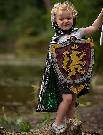 Espada de caballero honour de espuma - Great Pretenders