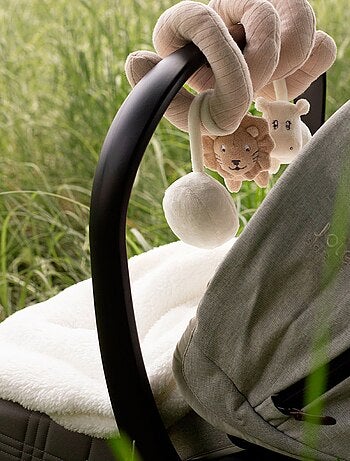 Espiral de actividad león e hipopótamo