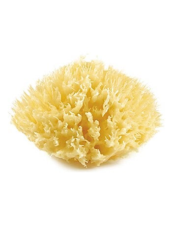 Esponja de mar natural en forma de nido de abeja Thermobaby para el baño del bebé