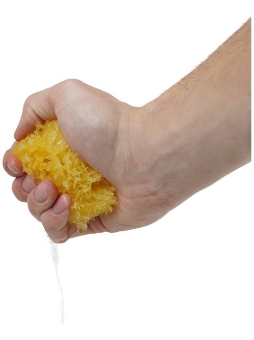 Esponja de mar natural en forma de nido de abeja Thermobaby para el baño del bebé - Kiabi Esponja de mar natural en forma de nido de abeja Thermobaby para el baño del bebé - Kiabi