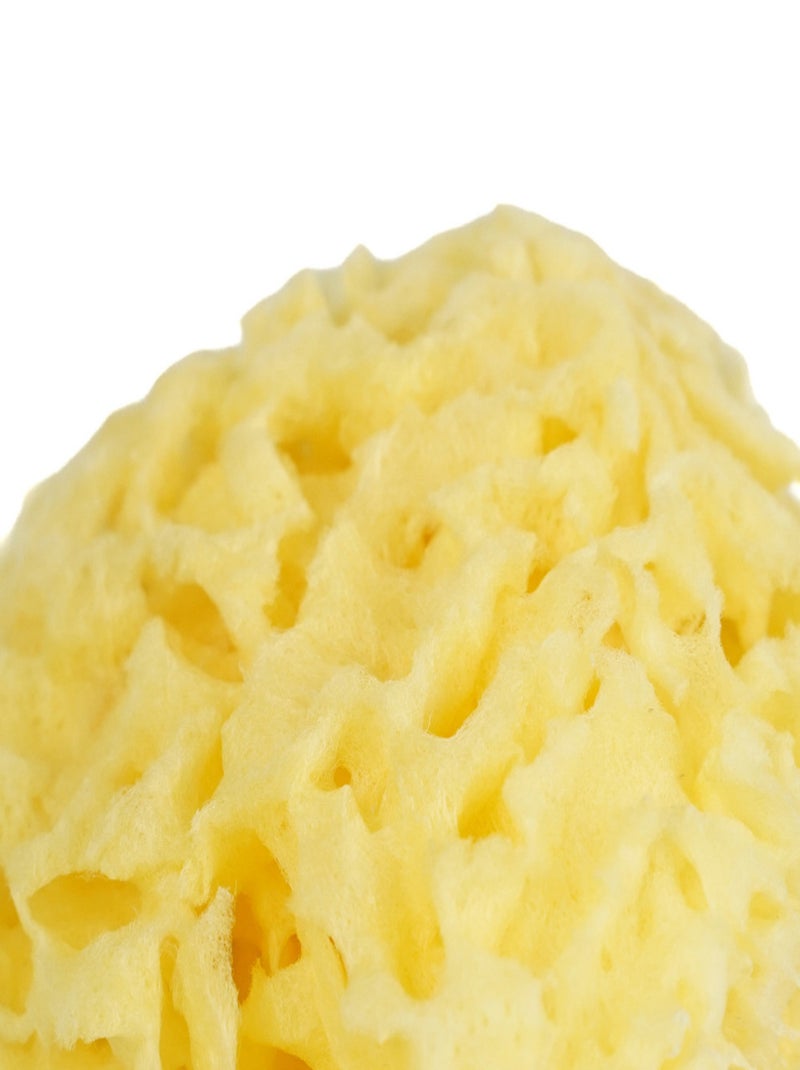 Esponja de mar natural en forma de nido de abeja Thermobaby para el baño del bebé Amarillo - Kiabi