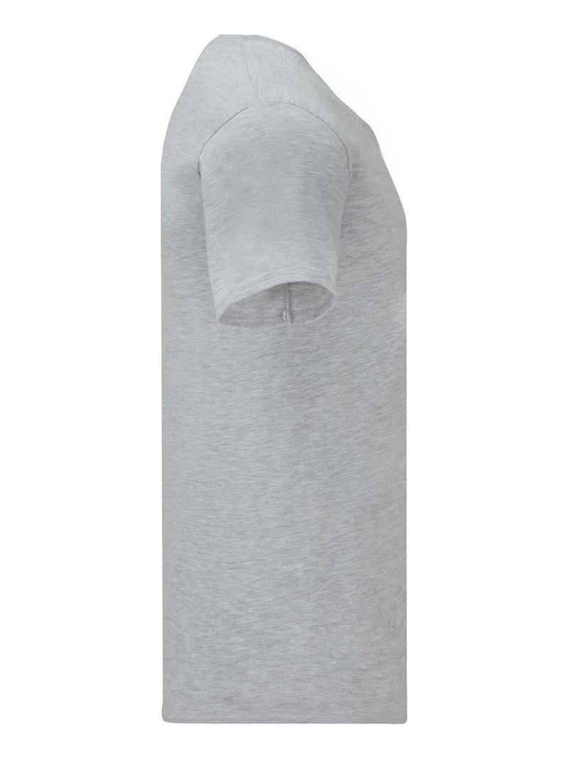 Fruit of the Loom - Camiseta Iconic 150 de Jaspeado para Adultos Unisex Gris - Kiabi