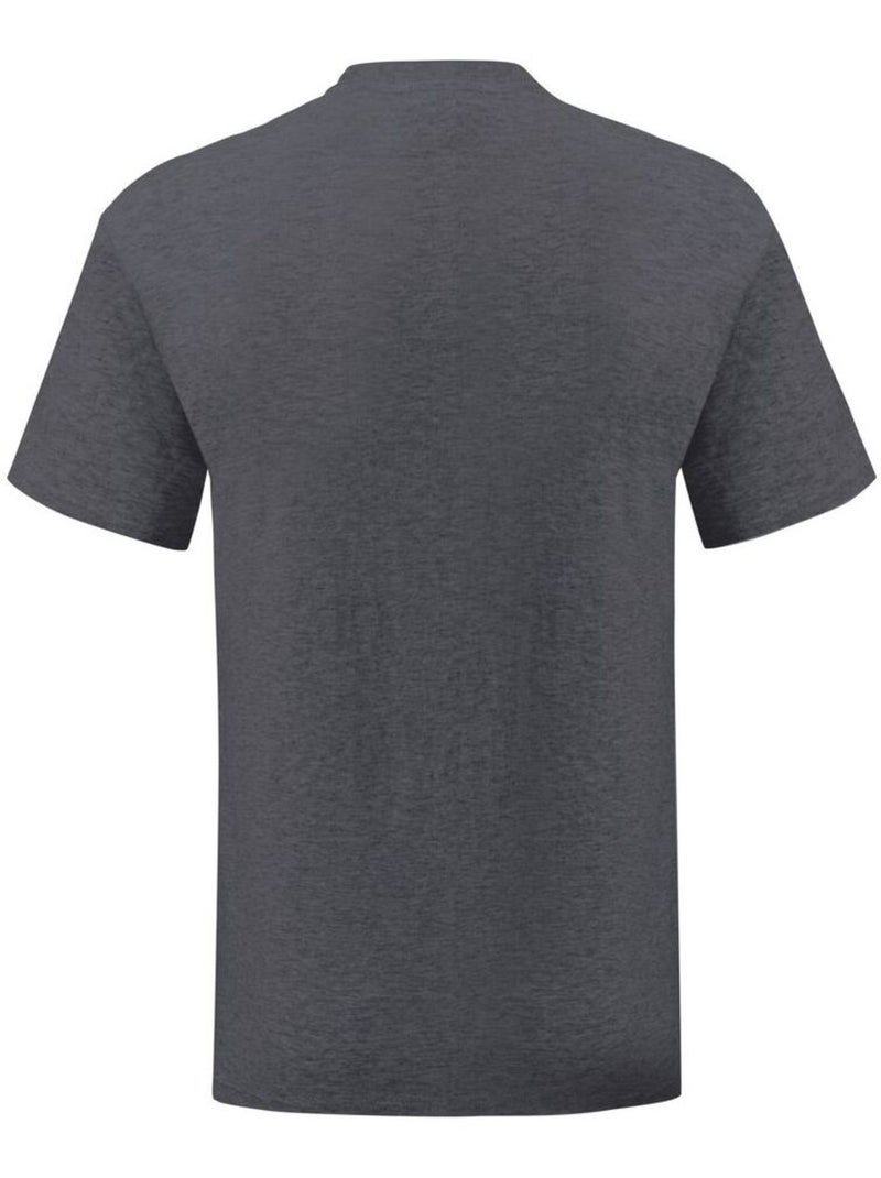 Fruit of the Loom - Camiseta Iconic 150 para Hombre Gris oscuro - Kiabi