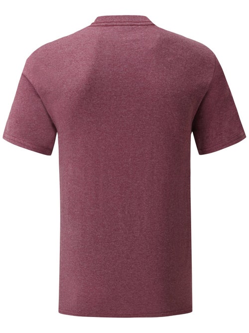 Fruit of the Loom - Camiseta Iconic de Jaspeado para Adultos Unisex - Kiabi