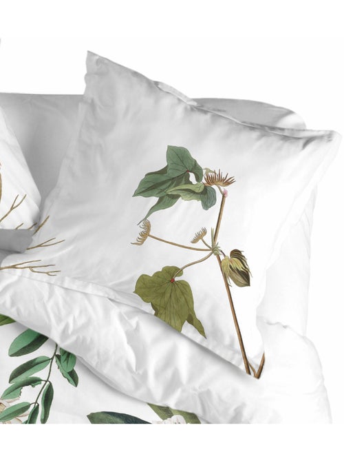 Funda de almohada Blooming "Happyfriday" - Kiabi
