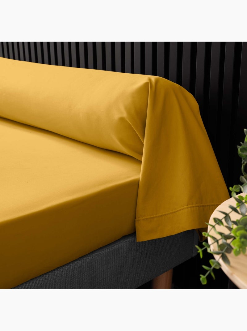 Funda de almohada de percal de algodón de 78 hilos, acabado bourdon Amarillo - Kiabi