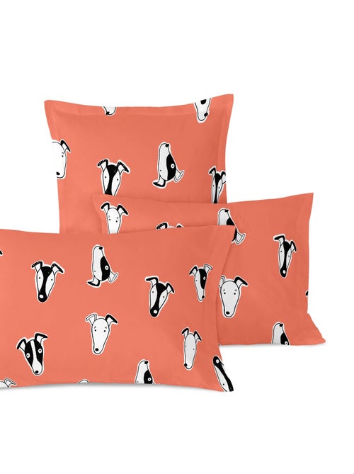 Funda de almohada Greyhound "Happyfriday" - Kiabi