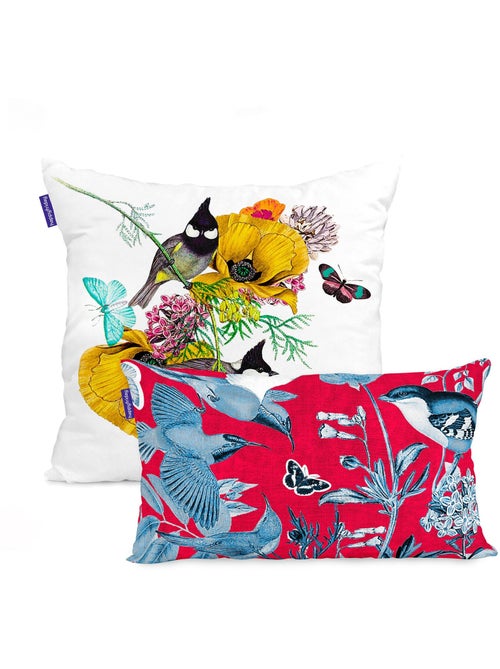 Funda de cojín Birds of paradise "Happyfriday" - Kiabi Funda de cojín Birds of paradise "Happyfriday" - Kiabi
