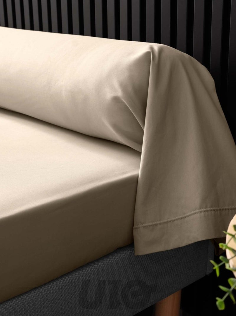 Fundas de almohada cilíndrica de Algodón Percal Percale Douceur d'Intérieur Marrón - Kiabi